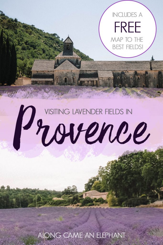 How to visit the lavender fields in the Provence, France. Includes a FREE map with the best lavender fields ans our lavender road trip route. #lavender #france #provence #roadtrip