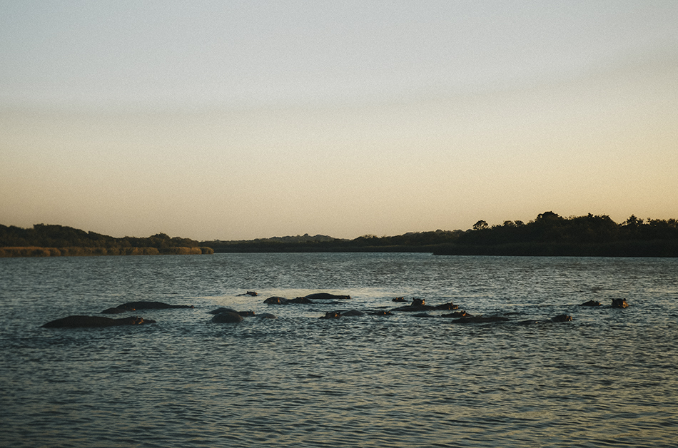 Enjoying an evening cruise searching for hippos in St Lucia, South-Africa