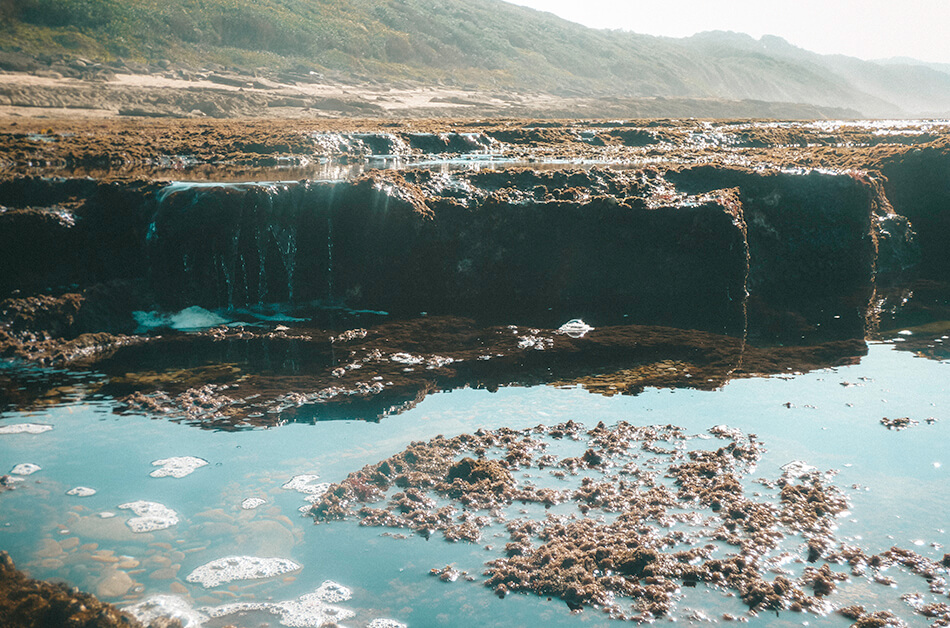 Searching for sealife between the Mission Rock Pools of Isimangaliso Wetland Park in St Lucia, South-Africa