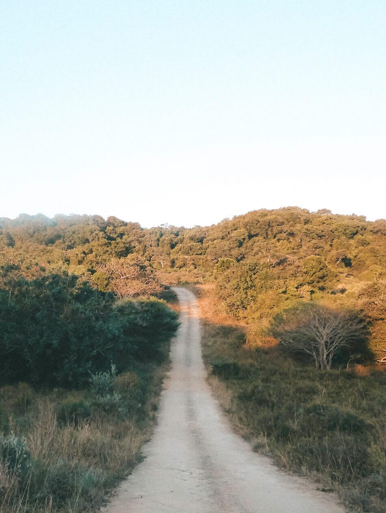 Dirt roads in Isimangaliso wetlands Game Park, South-Africa