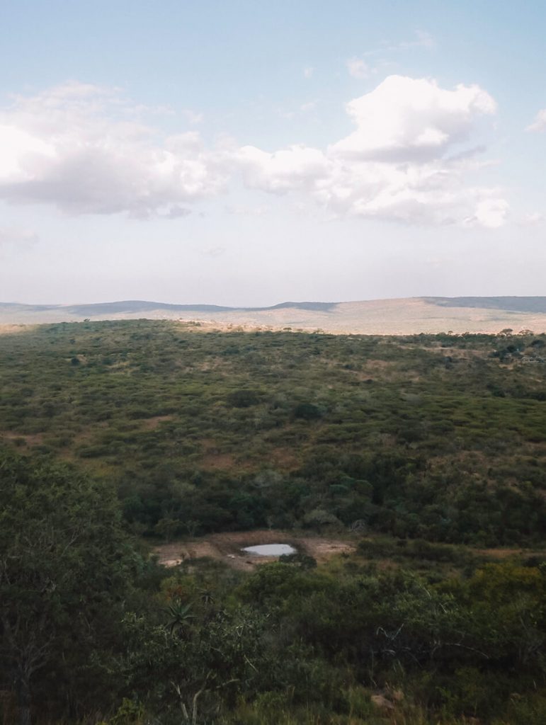 Gorgeous lush landscape of Hluhluwe Game Park, South-Africa