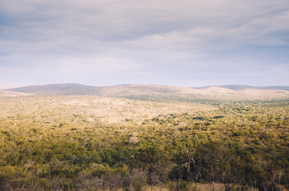 Gorgeous lush landscape of Hluhluwe Game Park, South-Africa