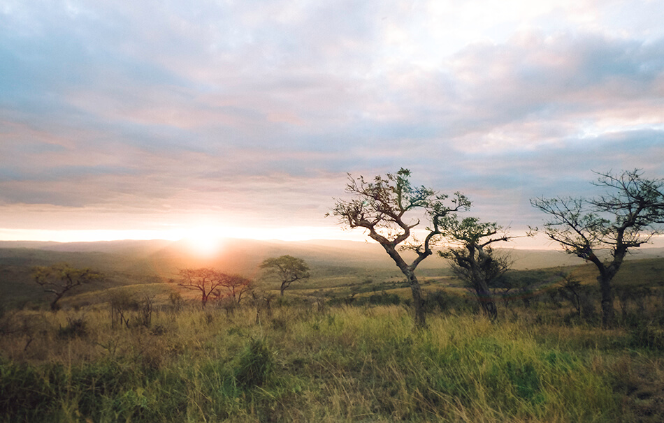 Gorgeous lush landscape of Hluhluwe Game Park, South-Africa