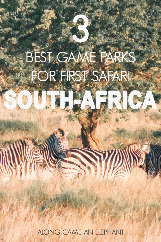 The 3 best South-African Game Parks for your first safari