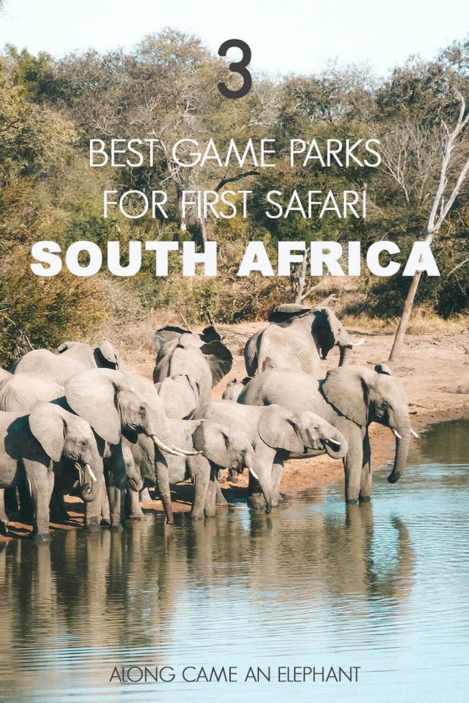 The 3 best South-African Game Parks for your first safari