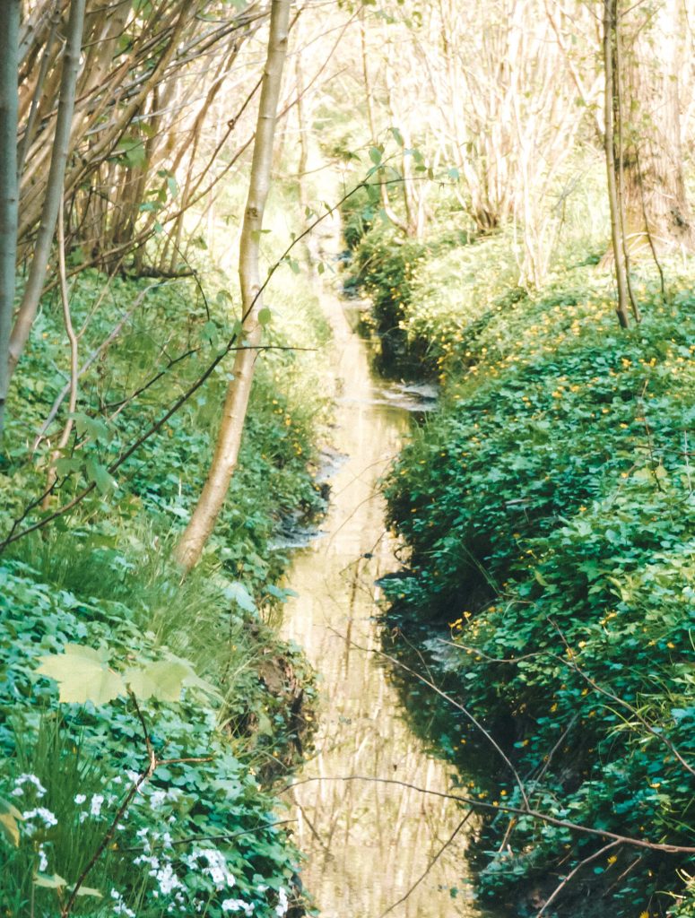 Spring in Belgium means fields of blossoming trees and cute creeks