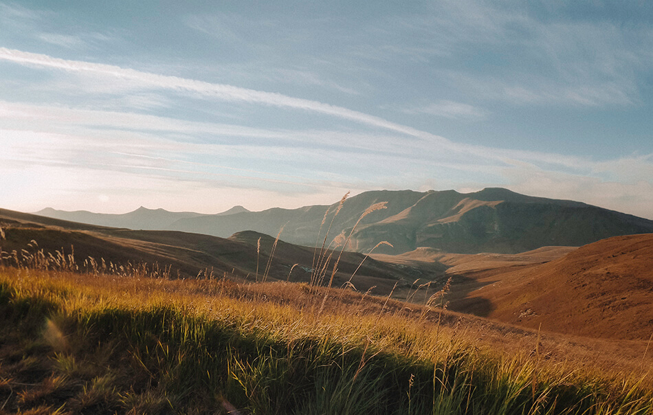 Golden fields at Golden Gate National Park in the South-african Drakenberg