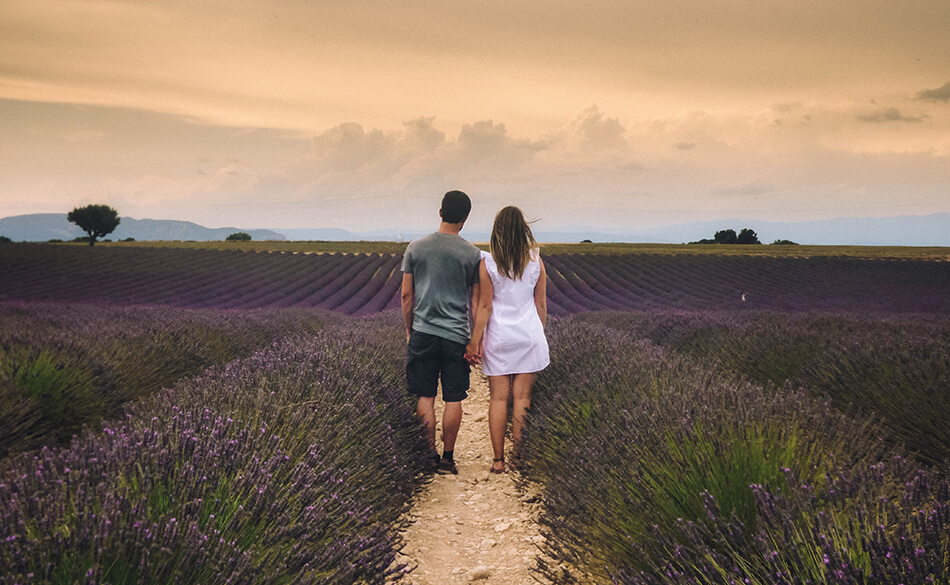 Strolling through beautiful purple fields of Lavender in the Provence, France