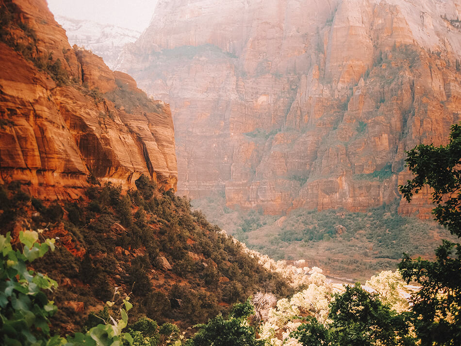 Zion National Park Valley floor