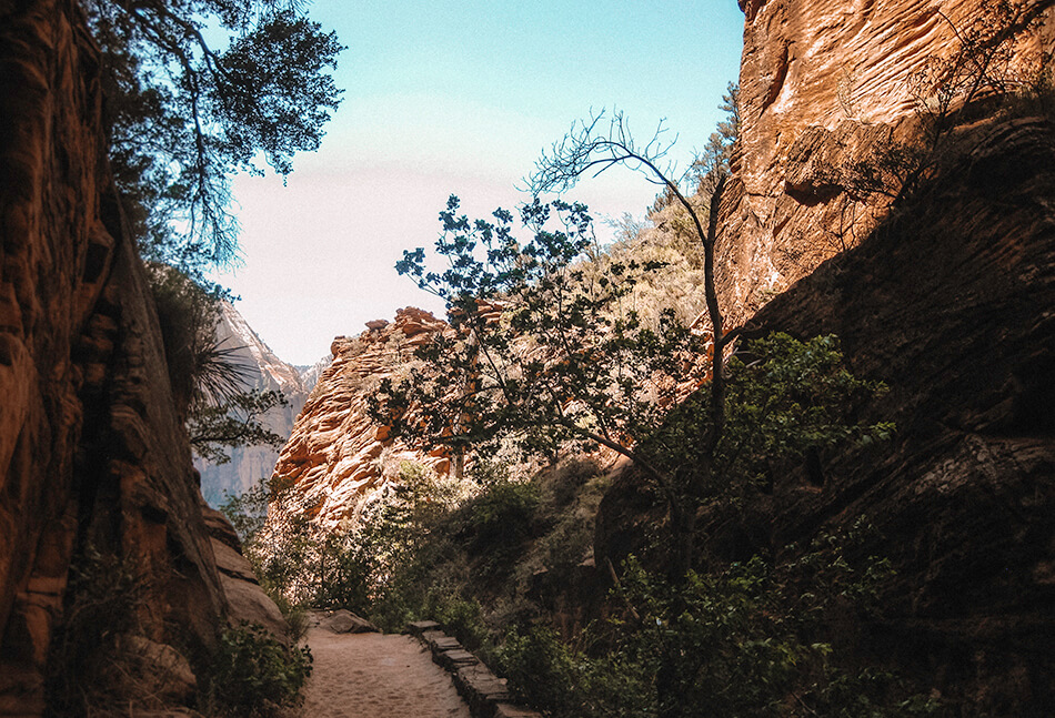 Seeking the shade of Refrigerator Canyon