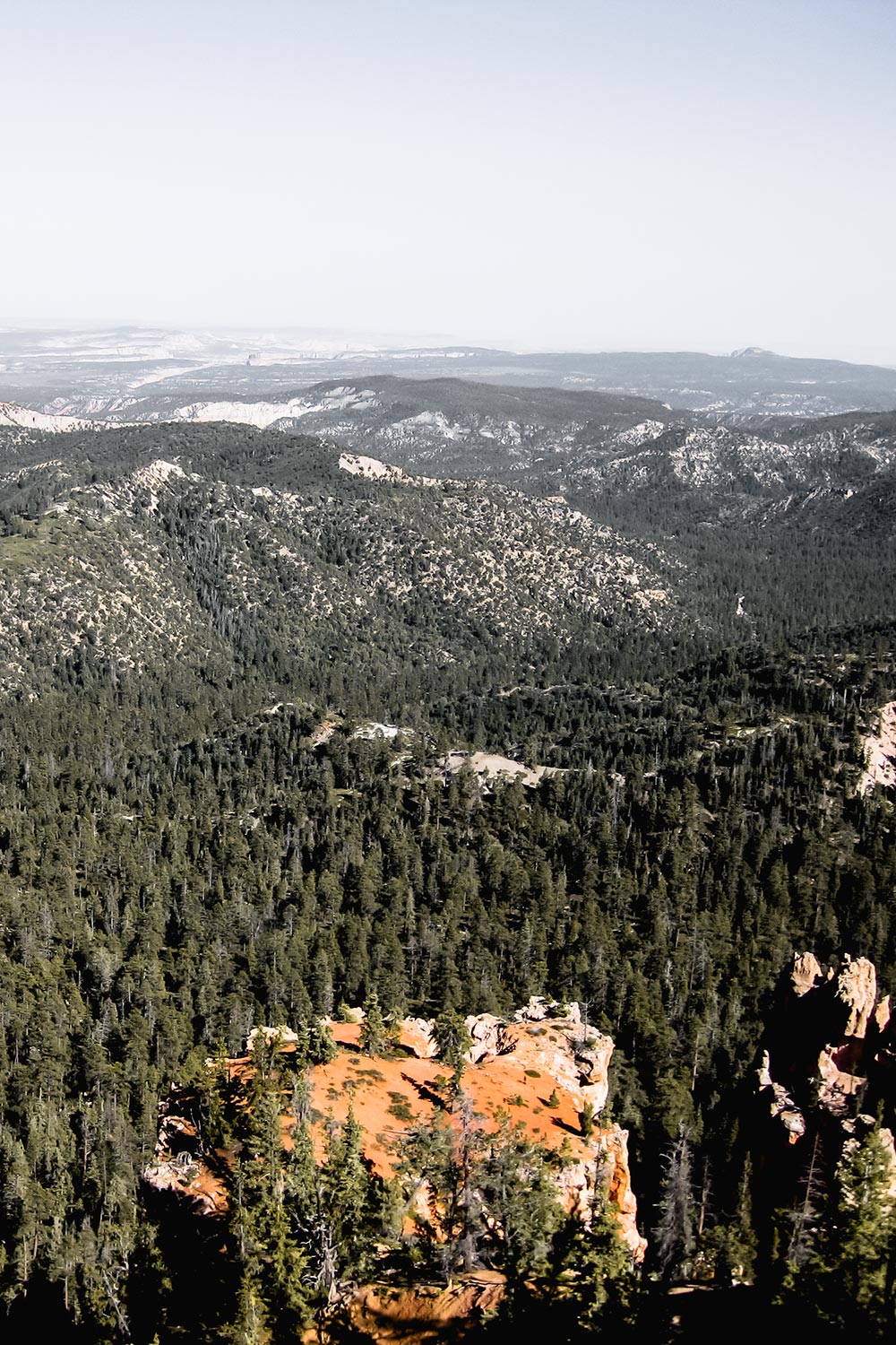 what to do in Bryce Canyon in one day: cruise the scenic drive