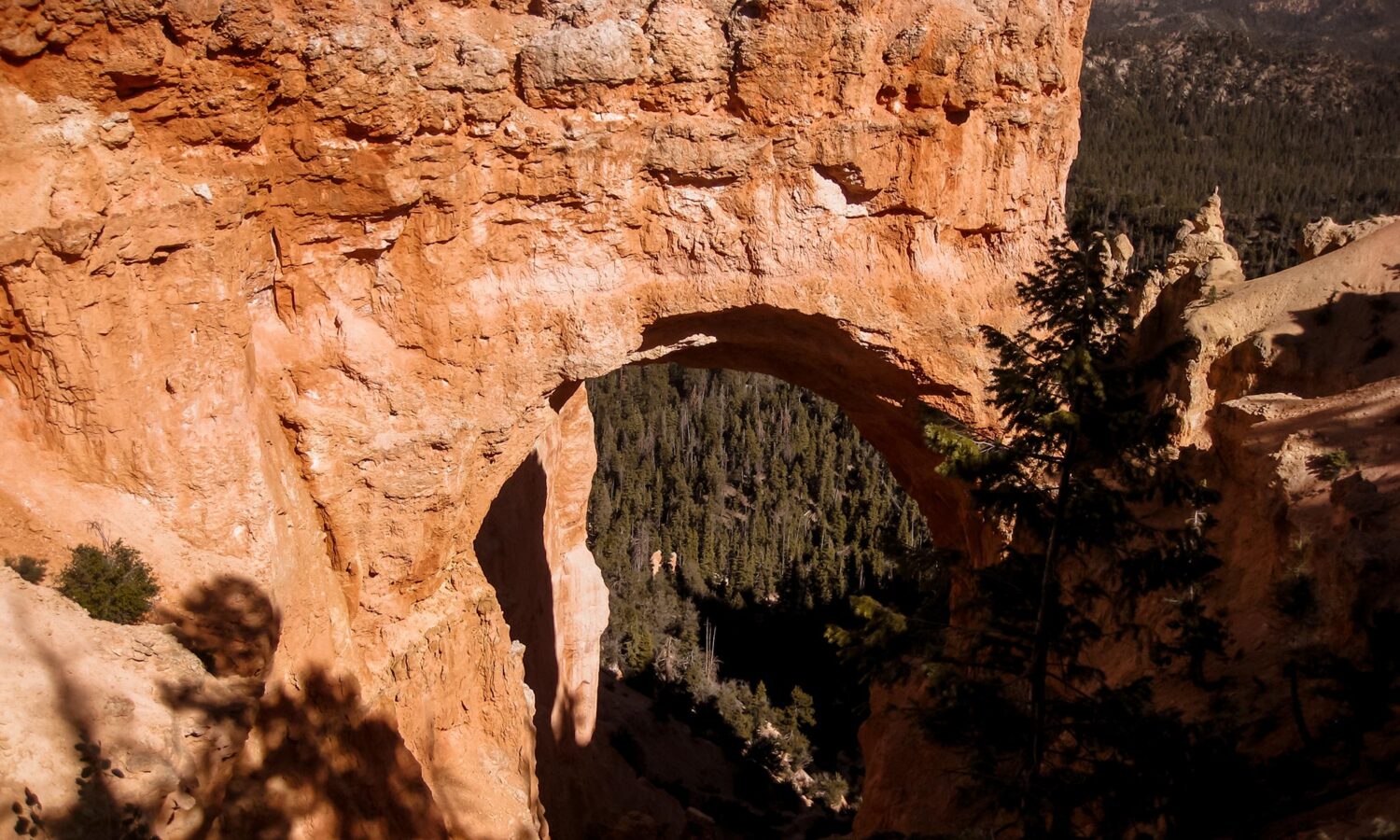 One day Bryce Canyon itinerary: don't skip natural bridge
