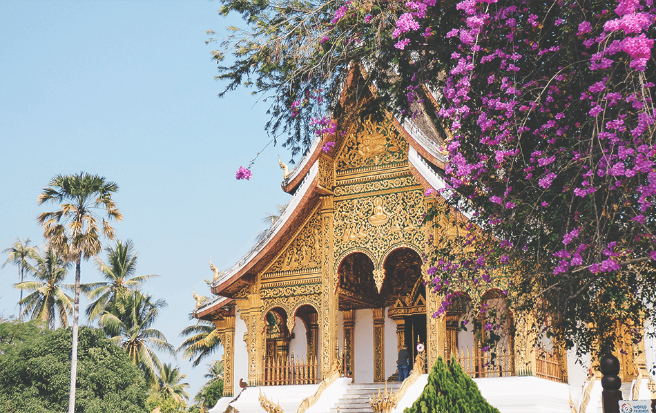 Golden temples at the Royal Palace in Luang Prabang