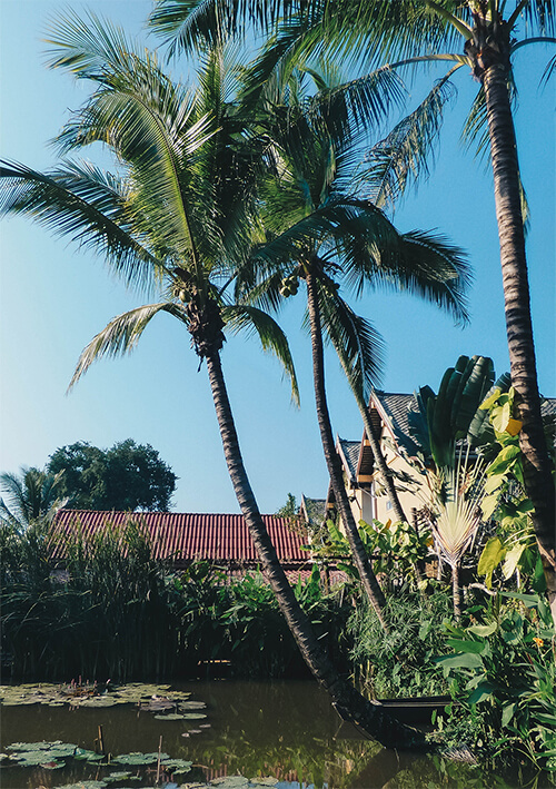 UNESCO heritage lily pond in the lush garden of Maison Dalabua