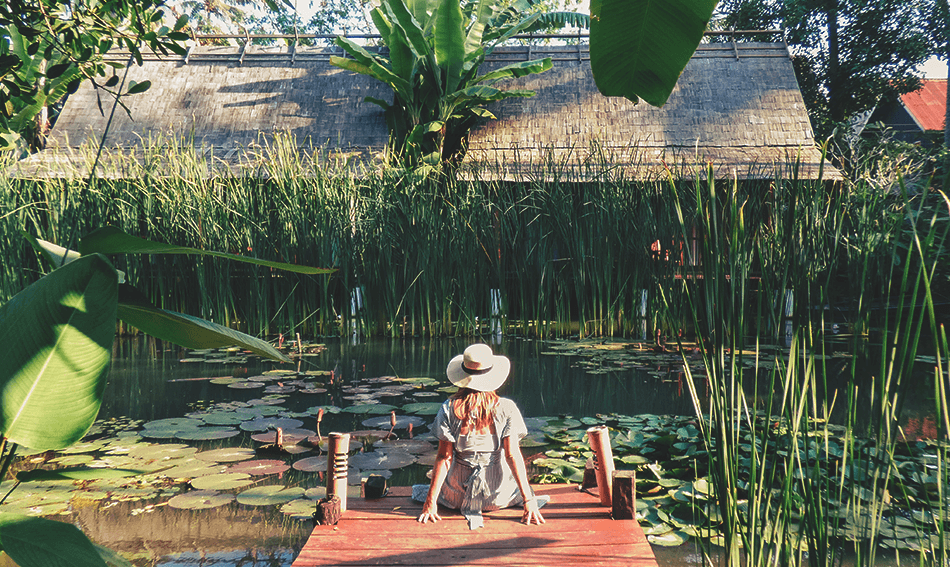 Hanging around at the lush UNESCO heritage lily pond of Maison Dalabua