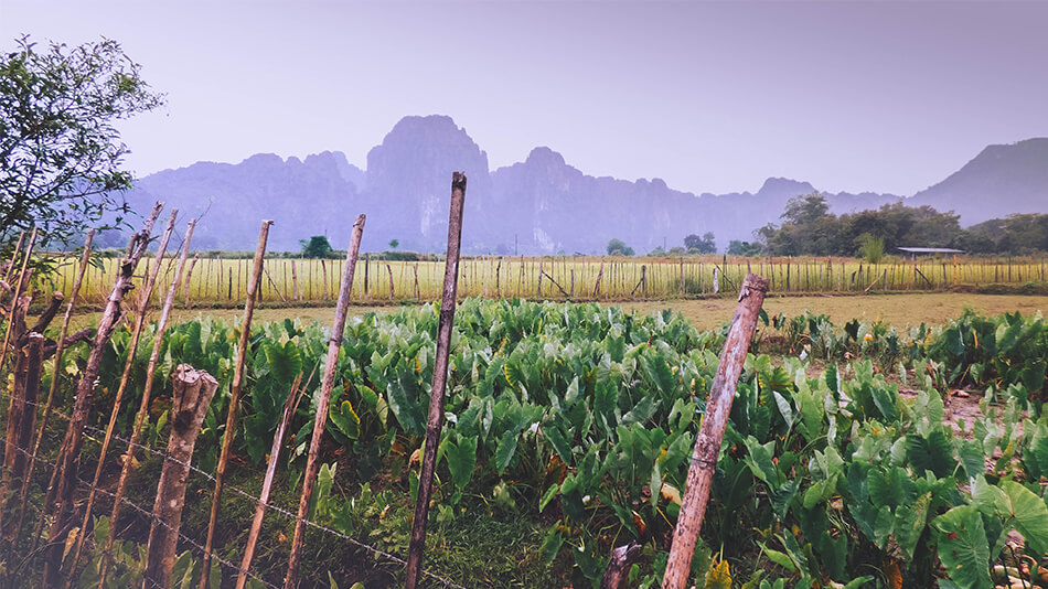 Lush landscapes and limestone mountains in the background