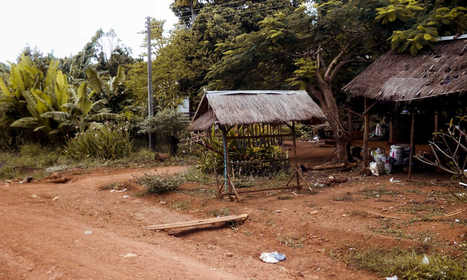 Driving the Bolaven Plateau motorbike loop