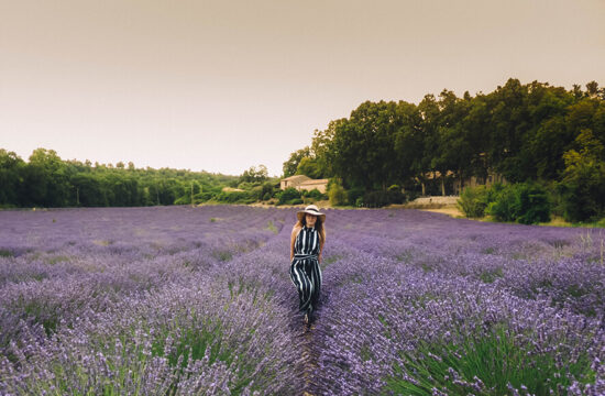 By planning we were able to spend a long weekend in the Provence during lavender season!