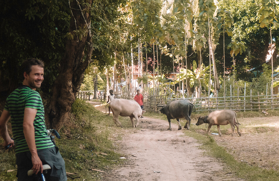 Encountering local faune during our cycling tour around Don det