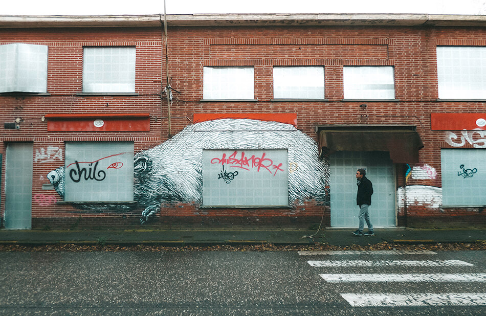 Doel street art: paradise for artists all over the world as well as visitors.