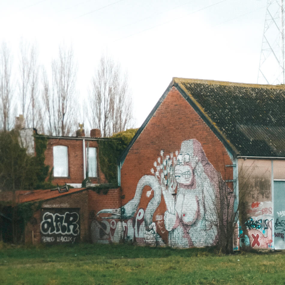 Graffiti artists are living in paradise in Belgium's abandoned village of Doel