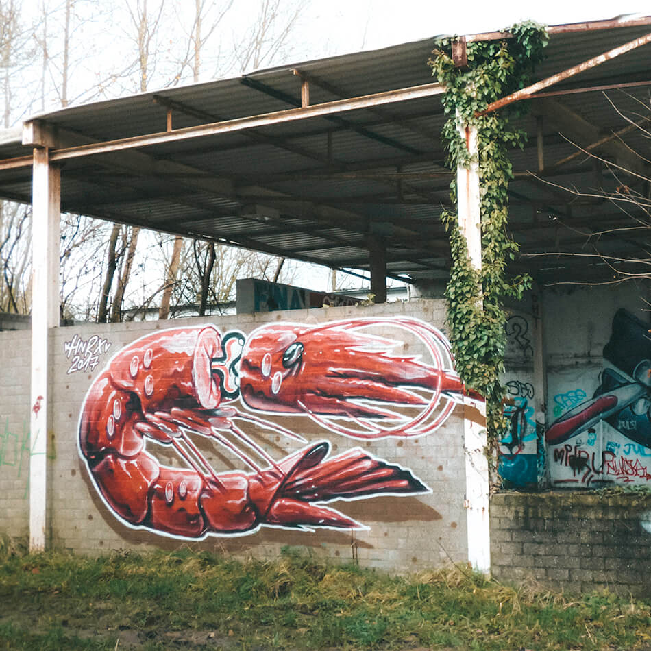 Sometimes whole murals steel the show or you can find smaller hidden gems while exploring Doel's street art