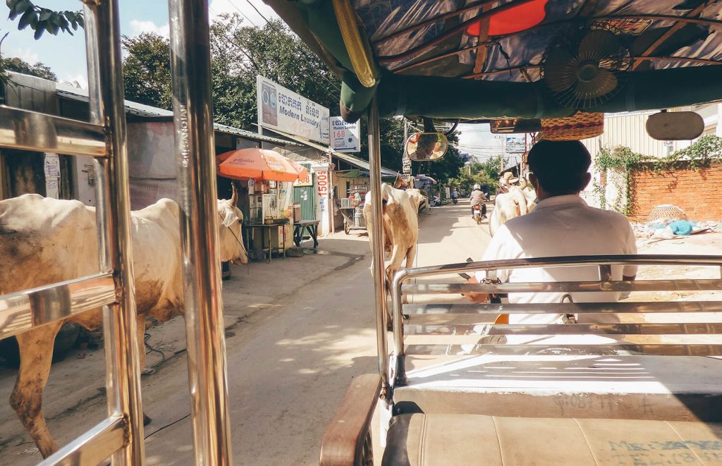 Taking a tuk-tuk to the S21 museum and Killing Fields