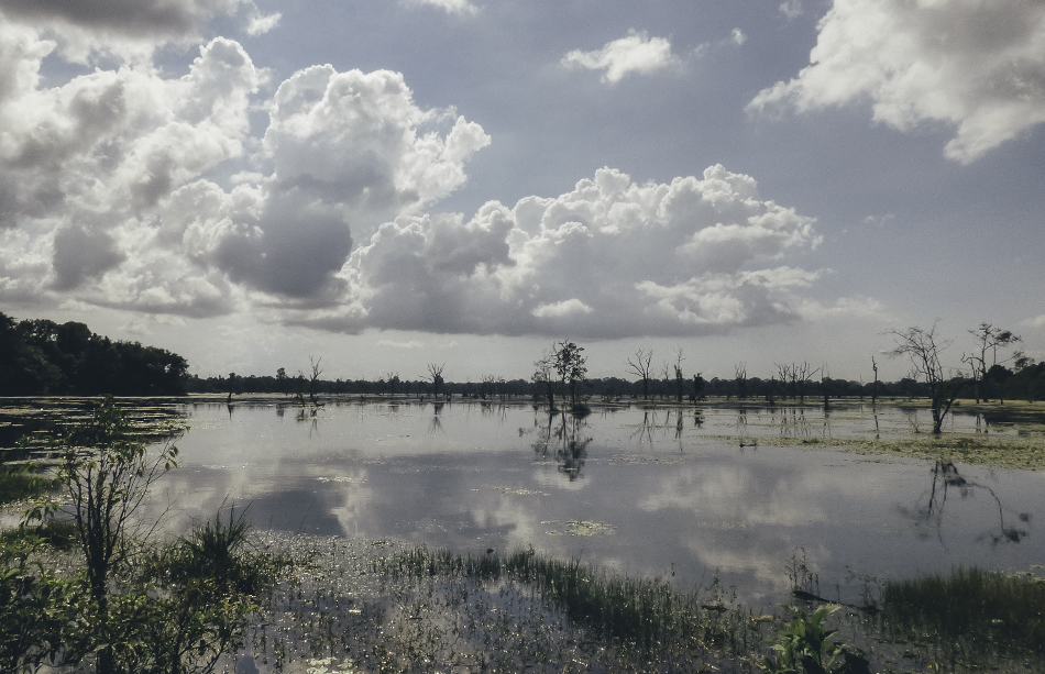 Beautiful lake in the Angkor Wat archeological park, Cambodia