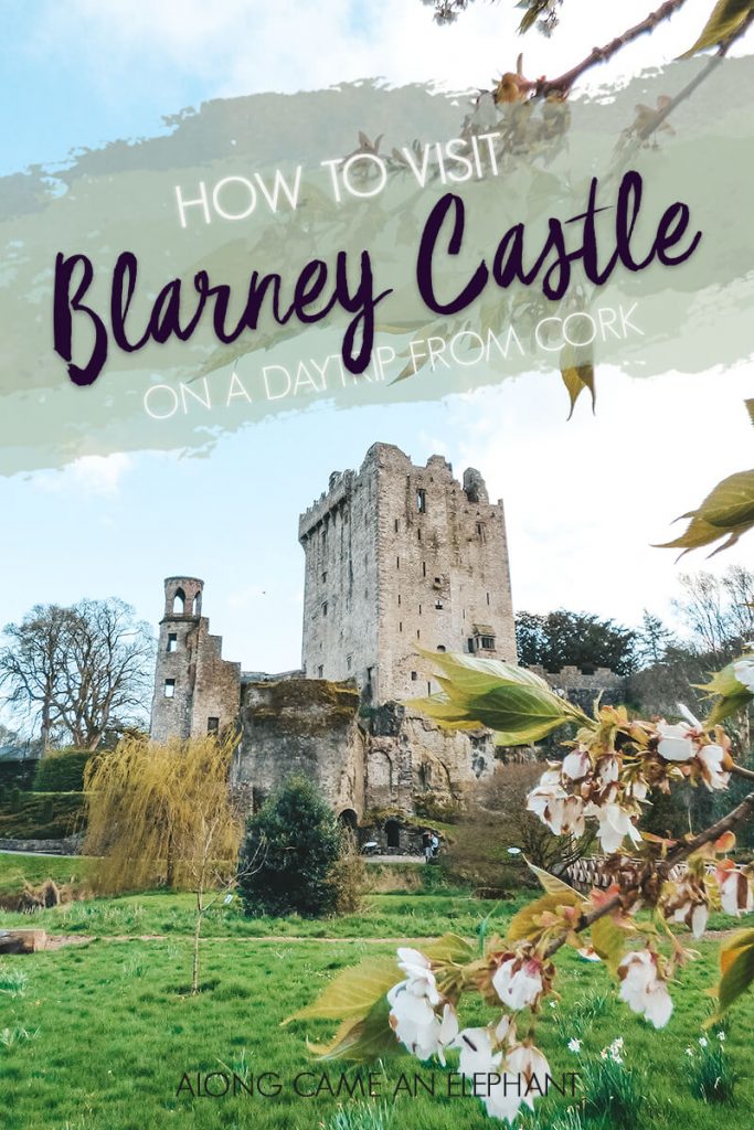 Our experience in visiting Blarney Castle, Blarney House and the surrounding gardens.  Blarney Castle is one of the highlist in County Cork and can easily be visited ina daytrip from Cork! #blarneycastle blarneystone #irishcastle #ireland #cork