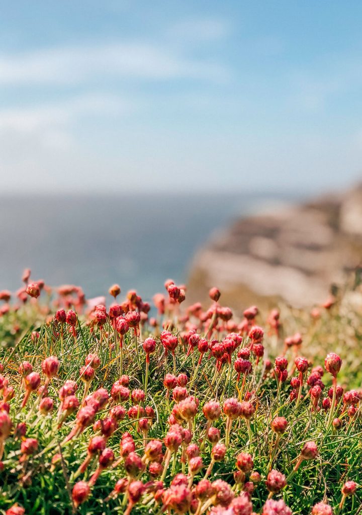 Kerry's most spectacular cliffs on the Ring of Kerry, Ireland