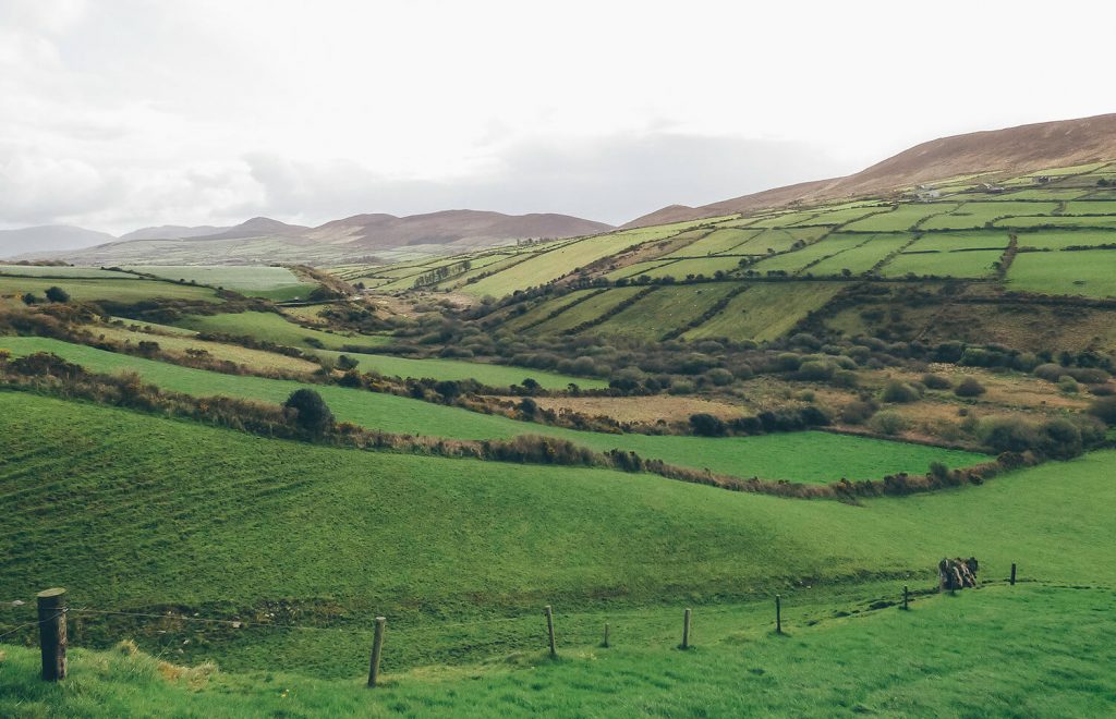 Views while driving in Ireland