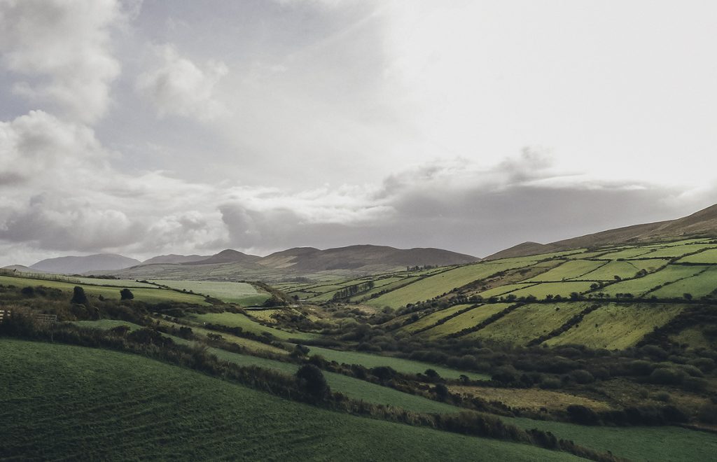 Green patchwork fields on the Dingle Peninsula