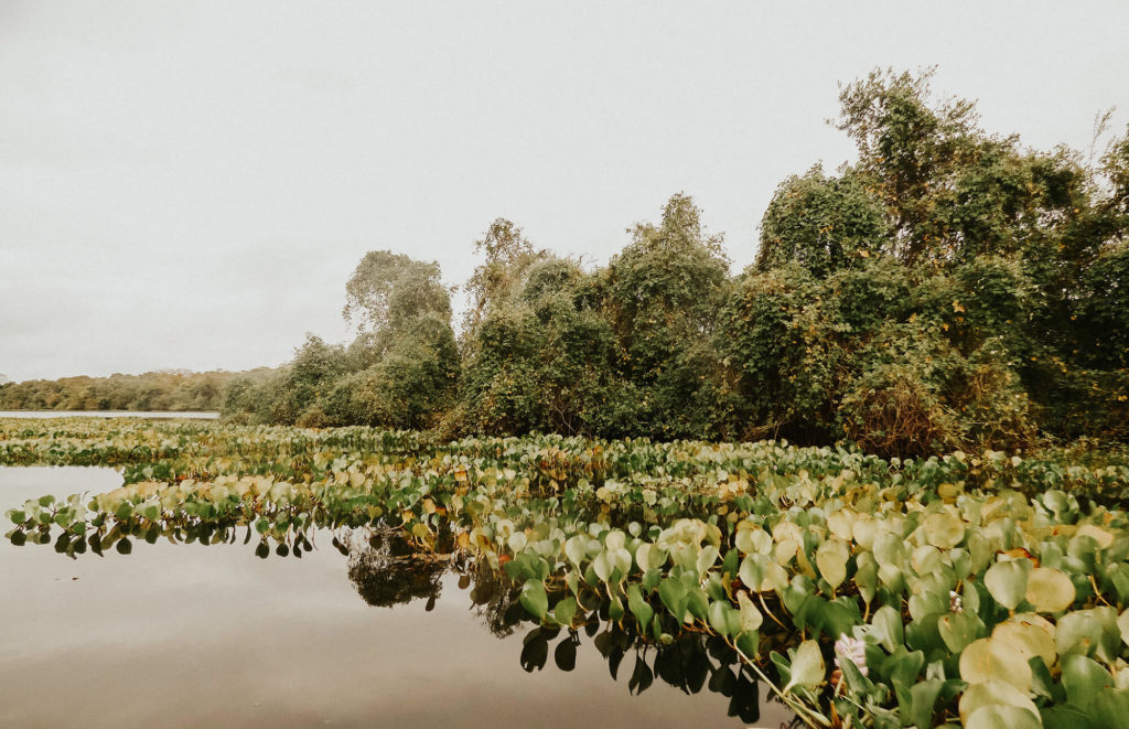 Kayaking the Pantanal during our 3 week trip through Brazil