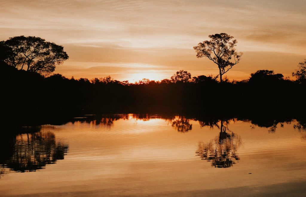 Kayaking the Pantanal during our 3 week trip through Brazil