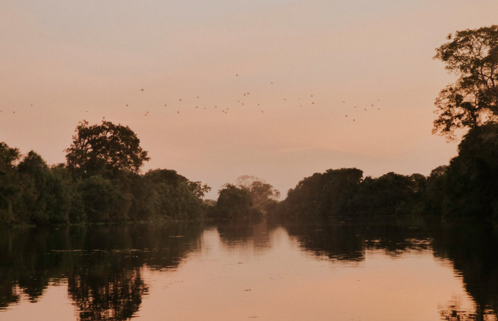Kayaking the Pantanal during our 3 week trip through Brazil