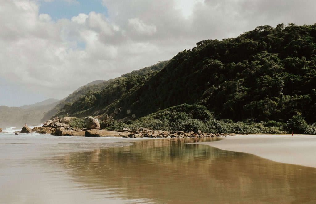 Jurassic Park vibes at Ilha Grande during our 3 week Brazil trip