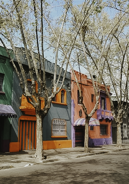 Bellavista streets on Santiago walking tour