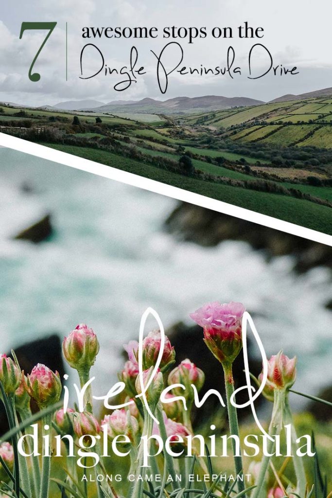 Ireland travel can be quite overwhelming, there are so many great Irish destinations to explore. One certainly no to be missed is the Dingle Peninsula Drive. This Dingle Peninsula Guide includes 7 amazing stops like Dingle, Slea Head Drive, the Conor Pass and much more! #travel #ireland #travelideas