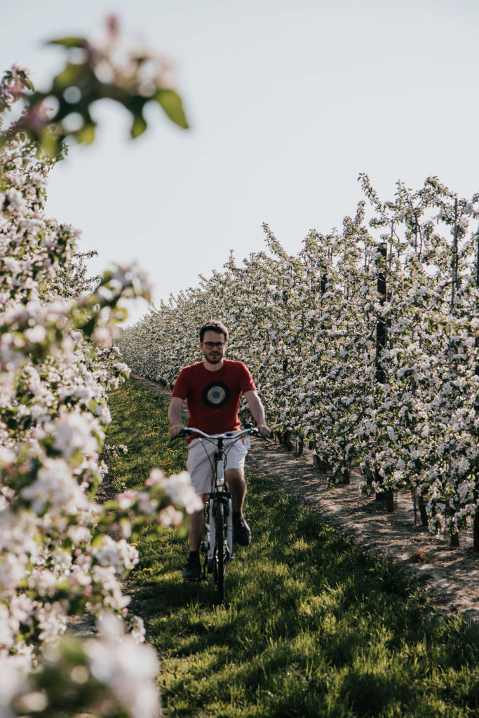 Geniet van een fietsavontuur langs de bloesemroute van Limburg