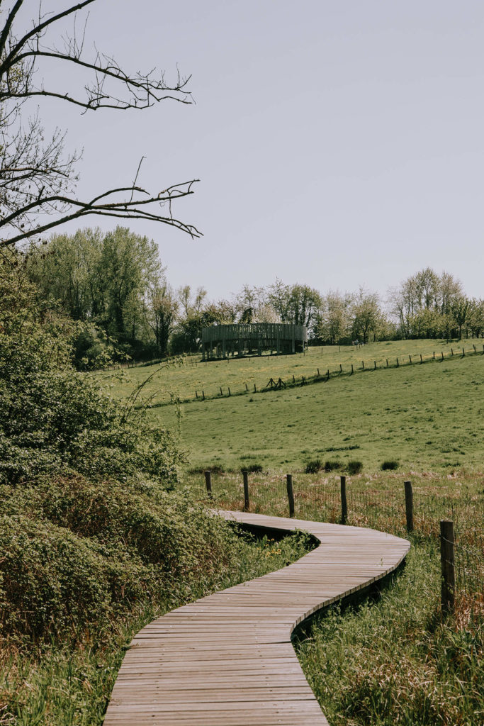 Geniet van een weekendje weg tussen de bloesems en kunst van Limburg