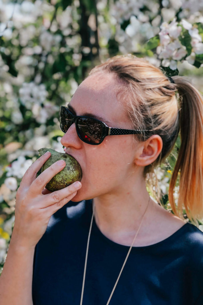 Proeven van de Haspengouwse oogst tijdens een bezoek aan lokale fruittelers op de bloesemroute