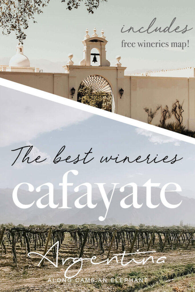 How to explore the best Cafayate wineries and vineyards on foot and by bike. Pick the most superb Argentina wine tours and taste its famous Torrontes! This northern Argentina travel guide includes the best wineries for wine tastings.