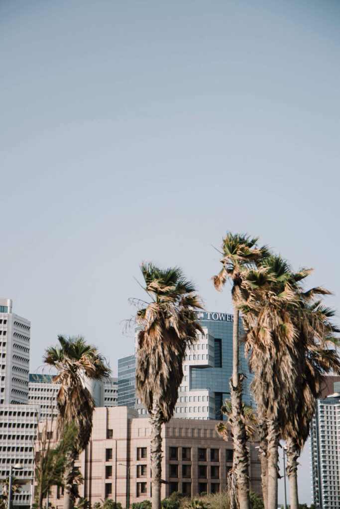 tel aviv travel store