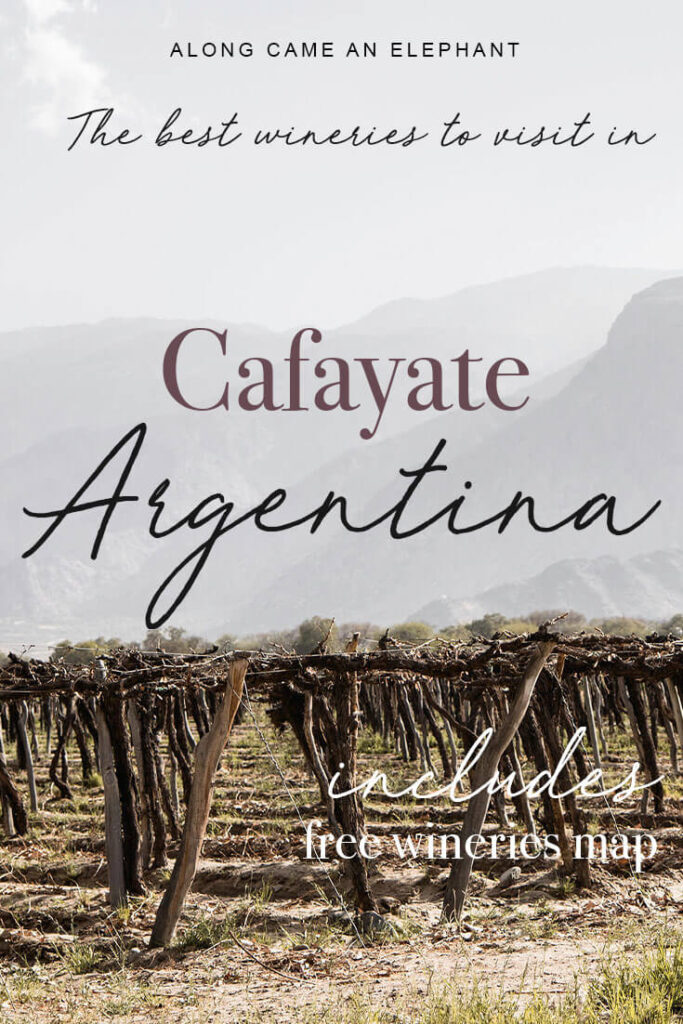 How to explore the best Cafayate wineries and vineyards on foot and by bike. Pick the most superb Argentina wine tours and taste its famous Torrontes! This northern Argentina travel guide includes the best wineries for wine tastings.