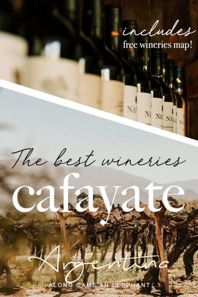 How to explore the best Cafayate wineries and vineyards on foot and by bike. Pick the most superb Argentina wine tours and taste its famous Torrontes! This northern Argentina travel guide includes the best wineries for wine tastings.