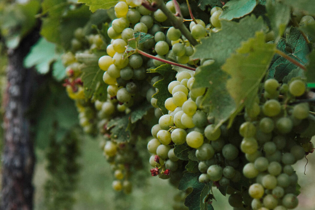 Sipping wine in the Holland countryside – a romantic weekend getaway