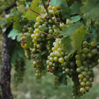 Sipping wine in the Holland countryside – a romantic weekend getaway