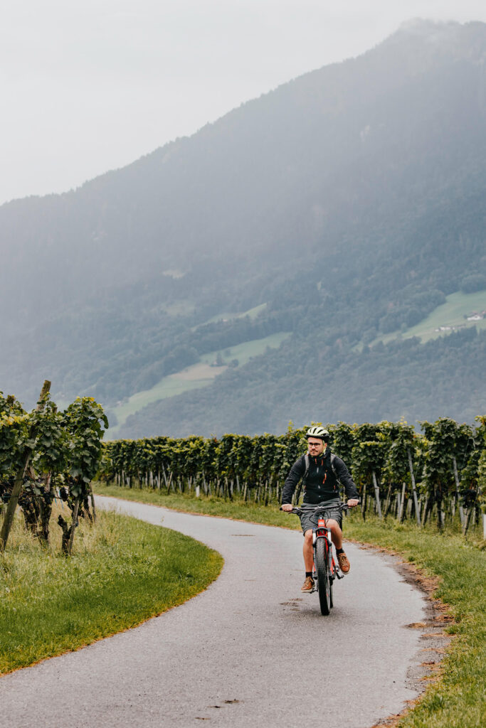Exploring the vineyards in Heidiland by mountainbike