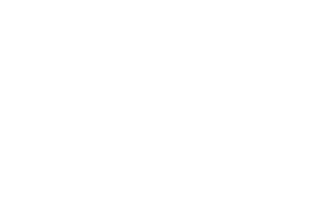 Along Came An Elephant