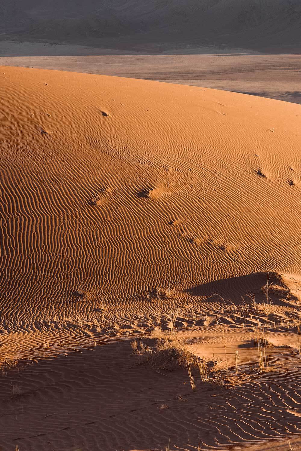 Ripples in the sand, Namibia off the beaten track in the dune belt